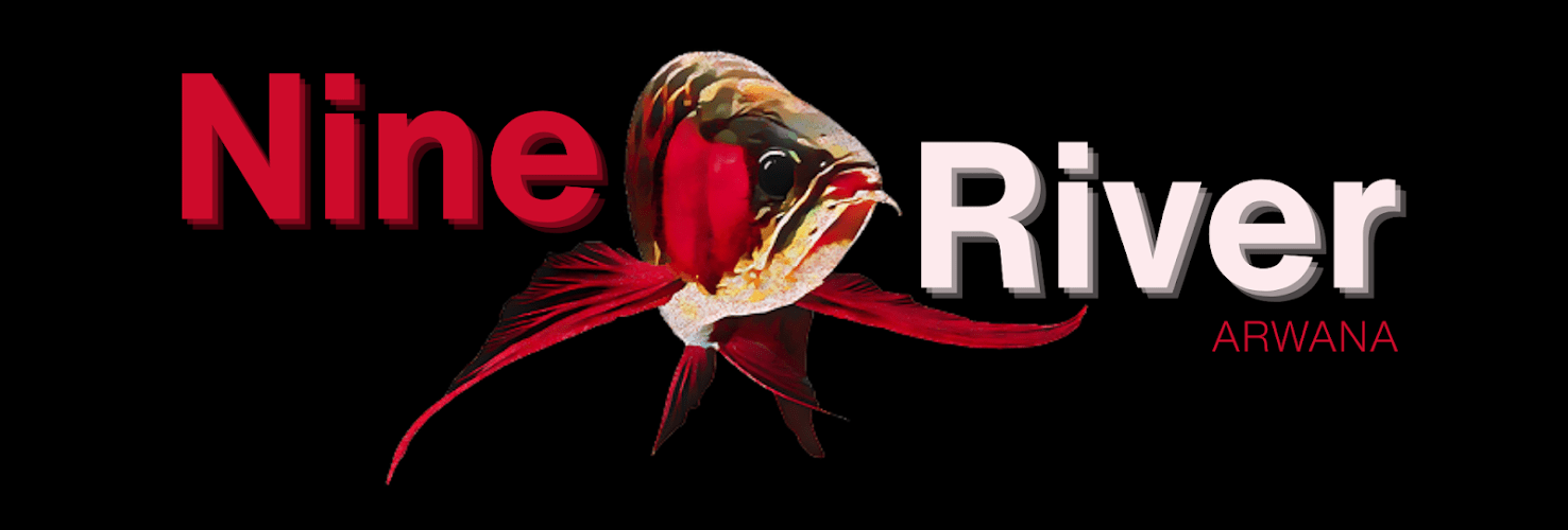 nine_river.png